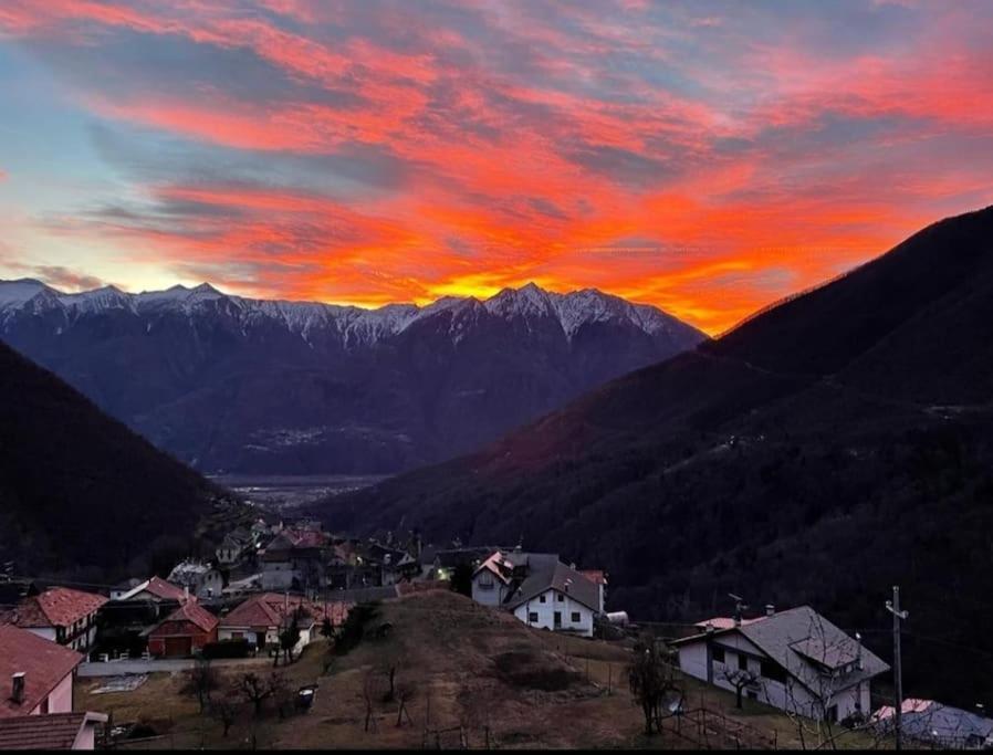 Casa Del Cios Calda E Intima Casetta Immersa Nel Verde Delle Montagne Alpe Basciumo Exterior foto