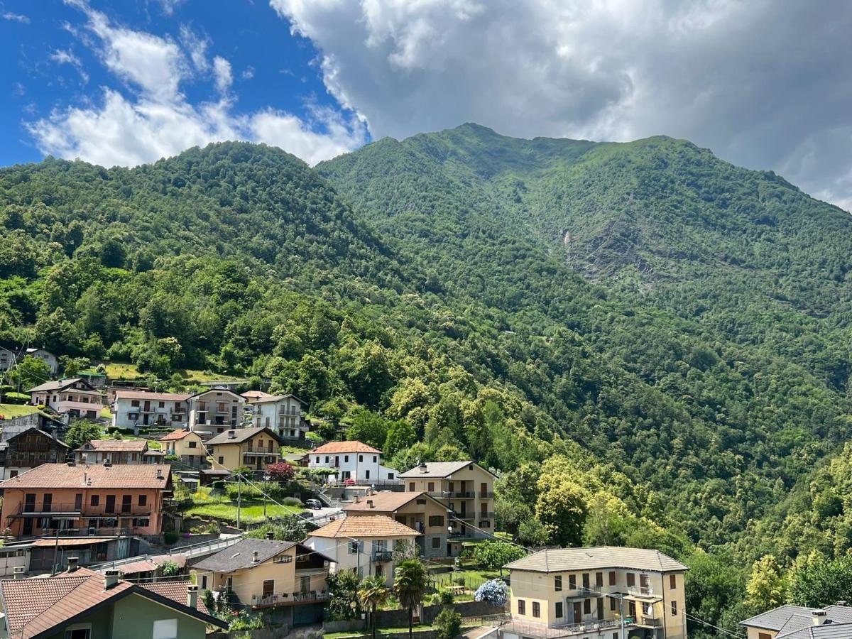 Casa Del Cios Calda E Intima Casetta Immersa Nel Verde Delle Montagne Alpe Basciumo Exterior foto